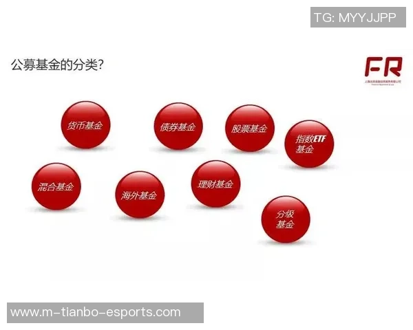 深入浅出足球规则全解析视频让你轻松掌握比赛精髓与技巧