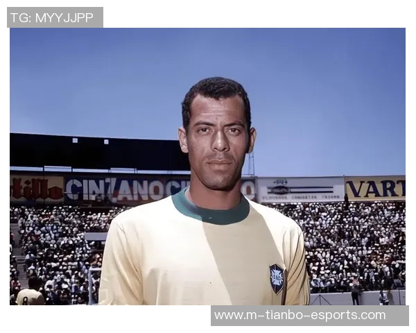 足球传奇人物的生平与成就全景展示 足球传奇人物的生平与成就全景展示